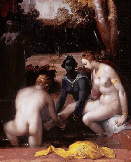 Cornelisz van Haarlem Bathseba at her bath china oil painting image